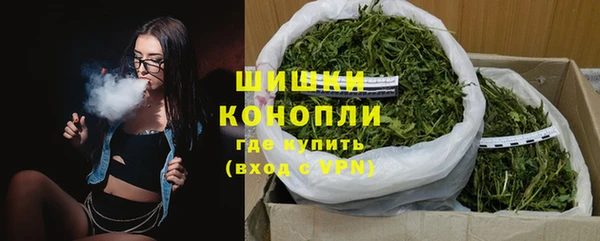 амф Бронницы