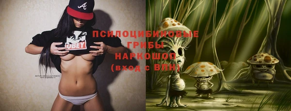 мяу мяу мука Бородино