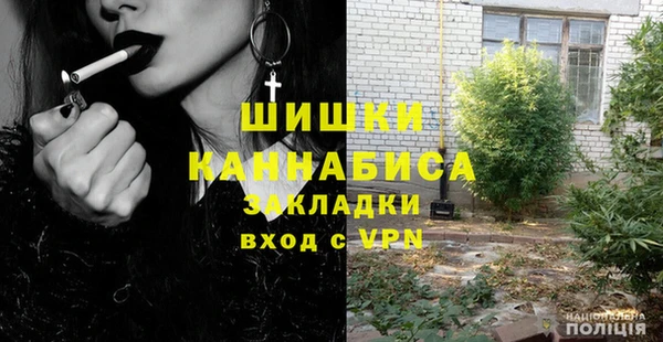 амф Бронницы