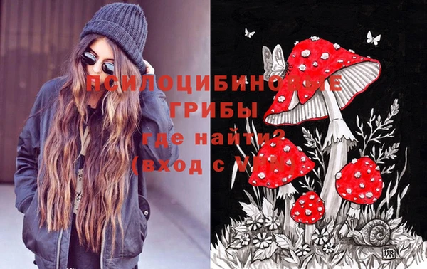 амф Бронницы