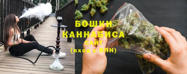 амф Бронницы