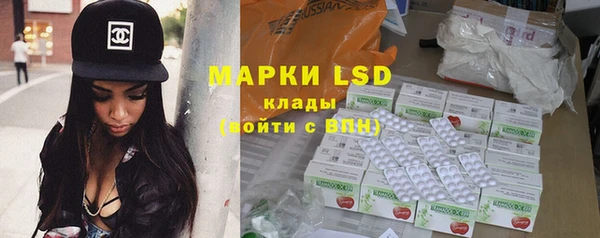 мяу мяу мука Бородино
