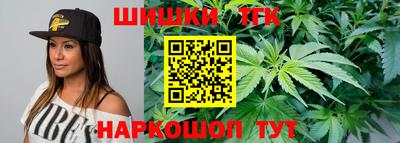 СК Обь