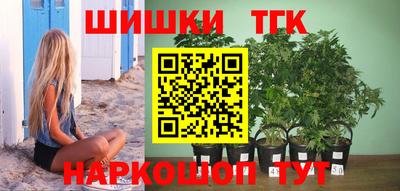 СК Обь