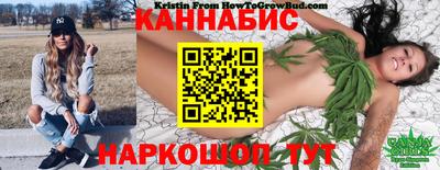 СК Обь
