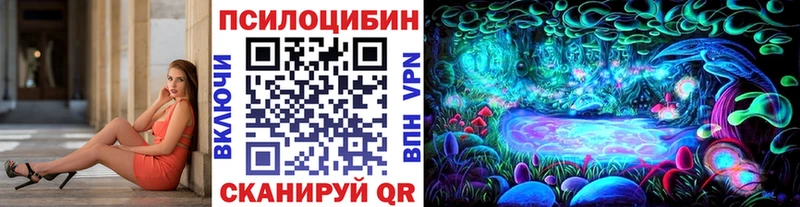 Псилоцибиновые грибы Magic Shrooms  маркетплейс телеграм  Северск  купить наркотики цена  ОМГ ОМГ рабочий сайт 
