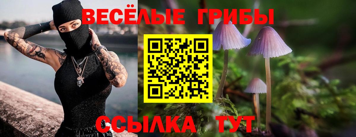 Галлюциногенные грибы Magic Shrooms Северск