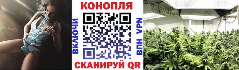 Конопля план Северск
